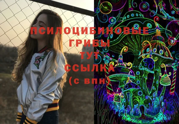 прущие грибы Баксан