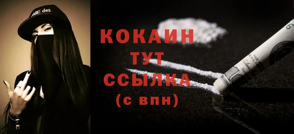 ПСИЛОЦИБИНОВЫЕ ГРИБЫ Гусев