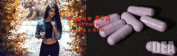 прущие грибы Баксан