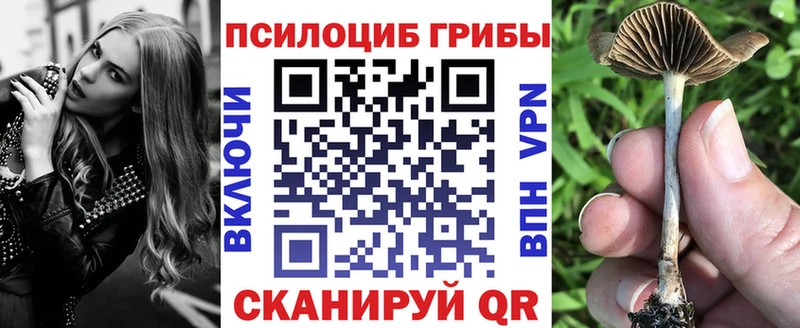 Галлюциногенные грибы прущие грибы Шагонар